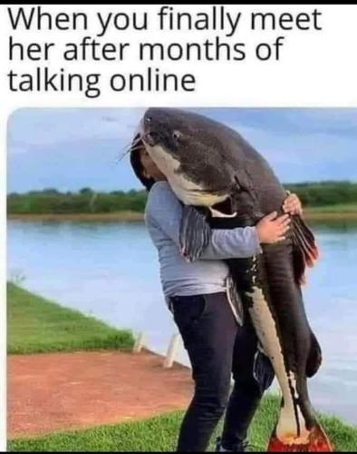 FB_IMG_1663180528142
