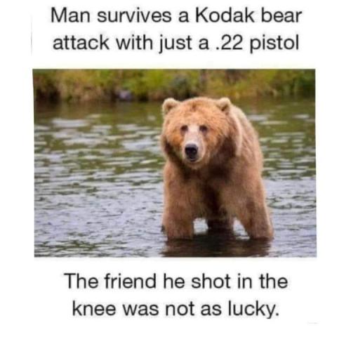 FB_IMG_1662934105519