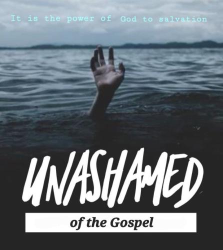 Unashamed