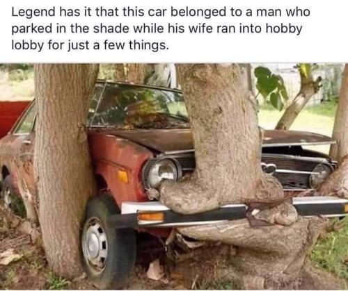 FB_IMG_1663860188813