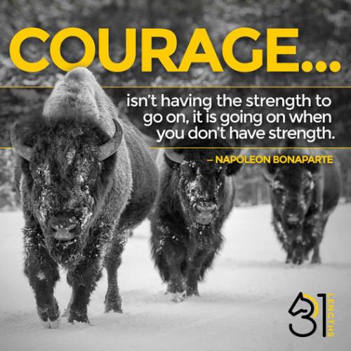 287787089_6333924783213_8160933620255957880_n