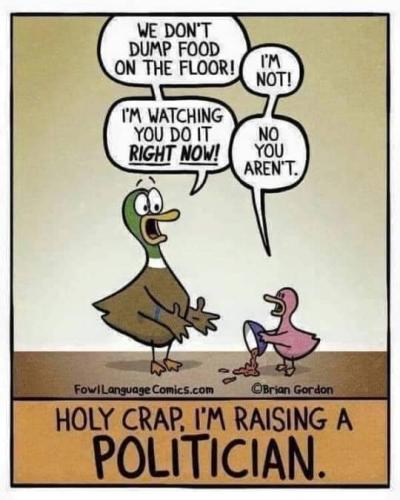 301982620_446593137412912_5836548697123024100_n