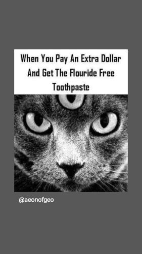 IMG_20220919_205115_580