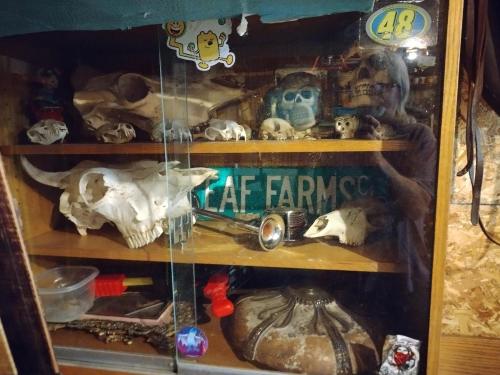 IMG_20220926_210452_HDR