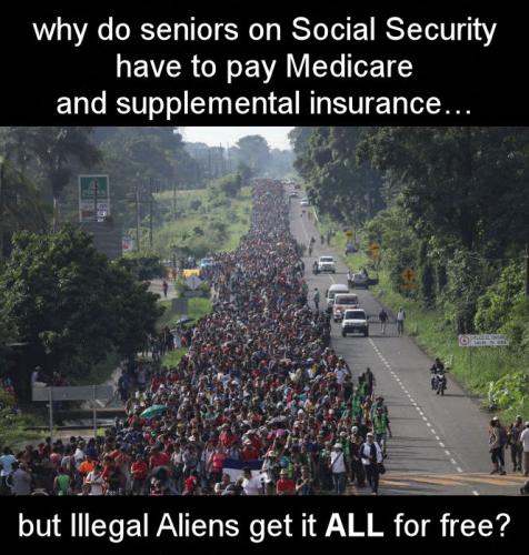 illegal immigration286