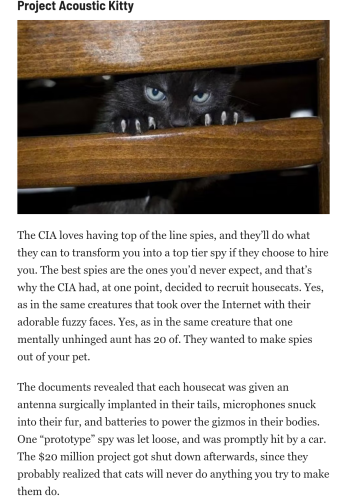 Screenshot_2022-09-28-15-25-27_kindlephoto-217843556