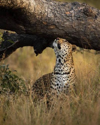 tumblr_f1426d14fb1e18554fa2820c3039eeca_3ea2b179_540