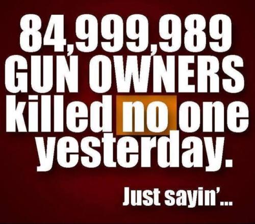 gun_owners_killed_no_one