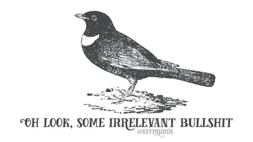 309241467_5616499478409682_4345992634037686151_n