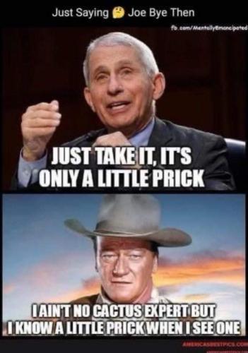 FB_IMG_1664562299983