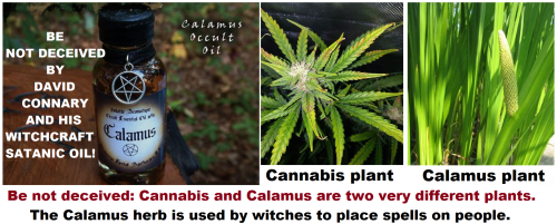 307254244_3212650798985931_1230176604420228568_n