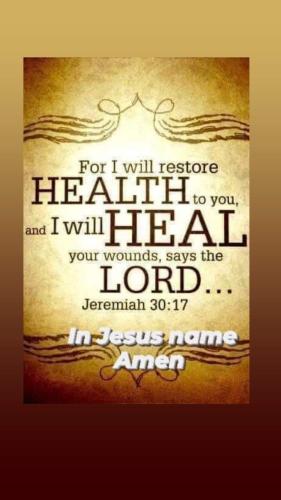 FB_IMG_8130367479330488681