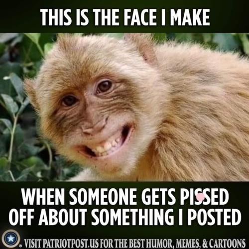FB_IMG_1664464180585