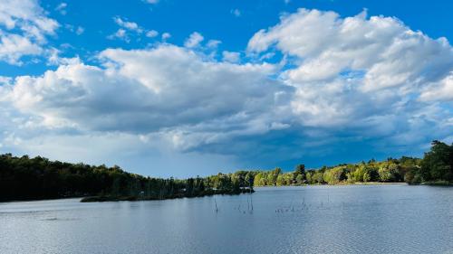 1F4F00FC-29A1-4B24-827B-CAD4A6FE90C7