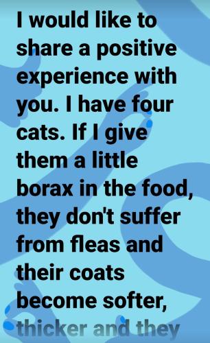 Screenshot_2022-09-13-20-15-55-752_com.facebook.katana