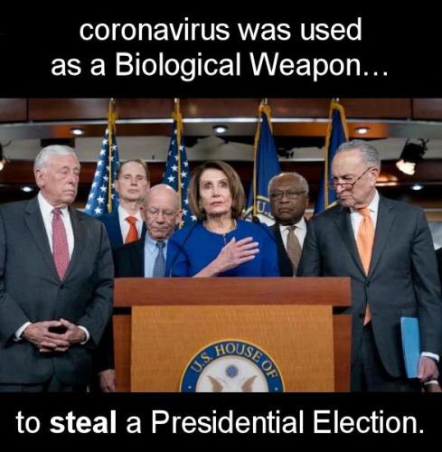 coronavirus1382