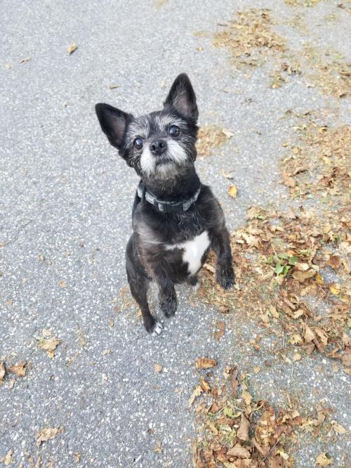 JPEG_20220917_173810_5455430389685302323