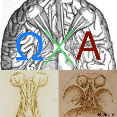 IMG_20220719_075850_096