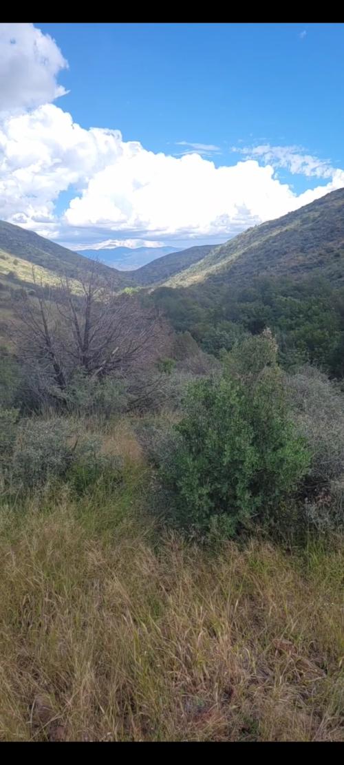 Screenshot_20220926-062437_Gallery