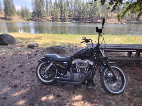 IMG_20220803_144418219_MF_PORTRAIT