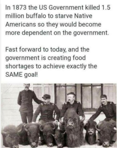 Screenshot_2022-05-13-13-23-21_kindlephoto-67074453