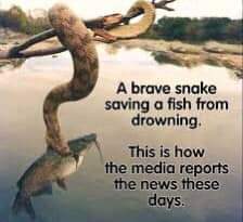 FB_IMG_1662049286105