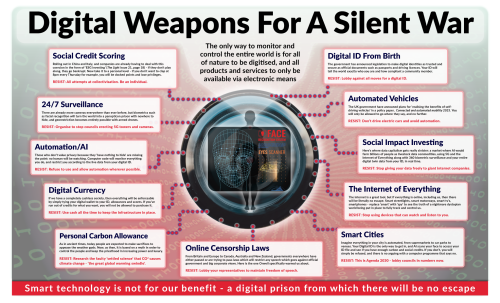 Light-25-Centrespread-Hi-Rez