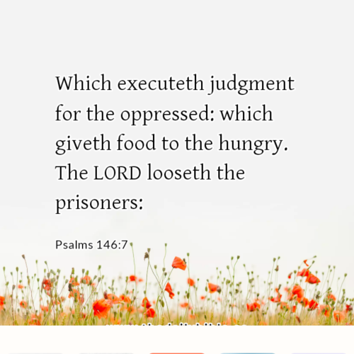 dailybible_20220922-182732_Psalms_146-7