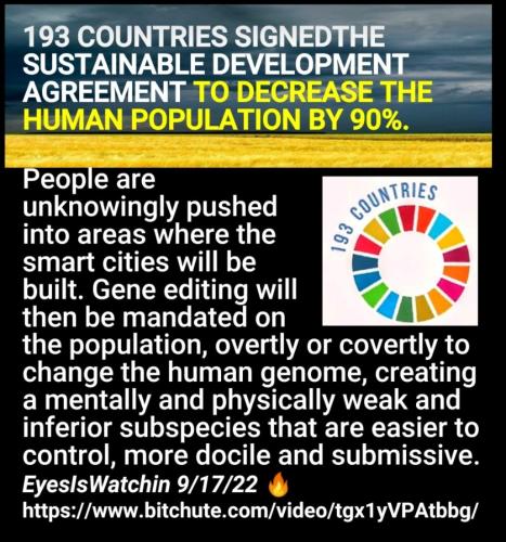 Screenshot_2022-09-20-09-01-45-009_com.google.android.apps.photos