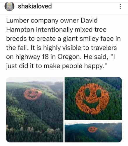 Screenshot_2022-09-11-13-14-33-278_com.instagram.android