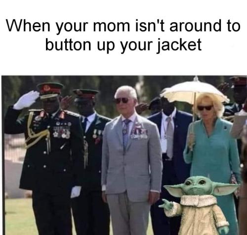 FB_IMG_1663353920482
