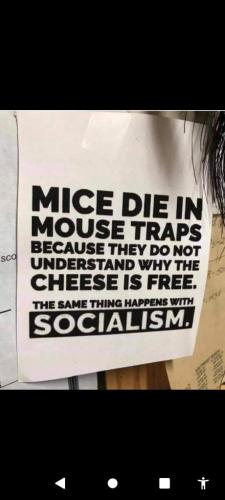 a3167e89-d56b-447f-a351-d654ea19ac87