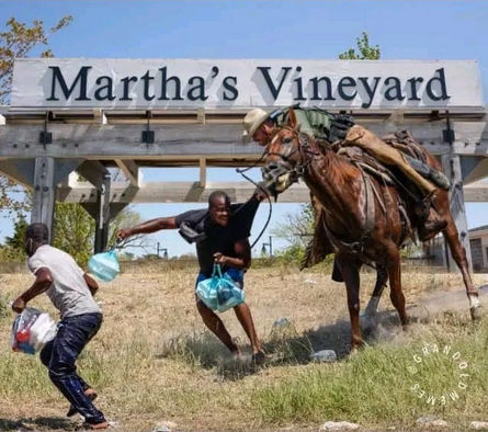 martha's vineyard07