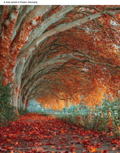 Screenshot_2022-08-29-22-47-44_kindlephoto-210829157