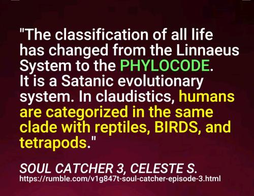 Screenshot_2022-09-22-14-21-48-911_cn.wps.moffice_eng