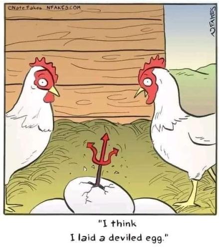 306738860_117622871076574_3735644449712312264_n