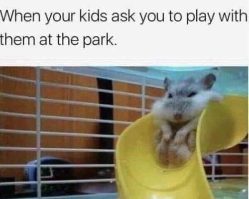 FB_IMG_1663947799505