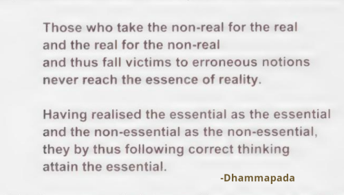 Screenshot_2022-09-27-04-21-12_kindlephoto-16691461