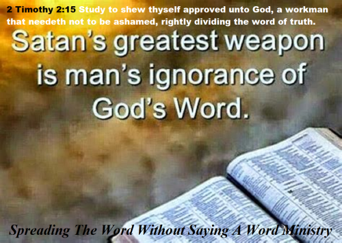 306929564_490756819298134_3335070288265267466_n