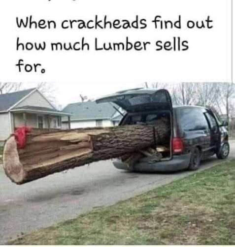 FB_IMG_1664041987711