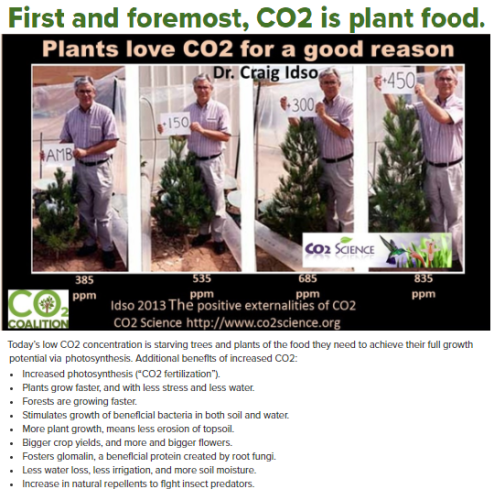 First and foremost, CQ2 is plant food.