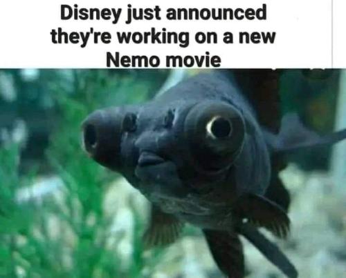 FB_IMG_1663395473802
