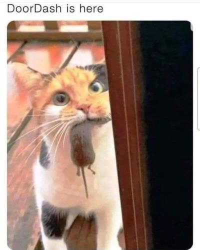 300792067_635385401282154_627709126719294009_n