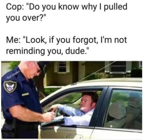 do you know why i pulled you over01