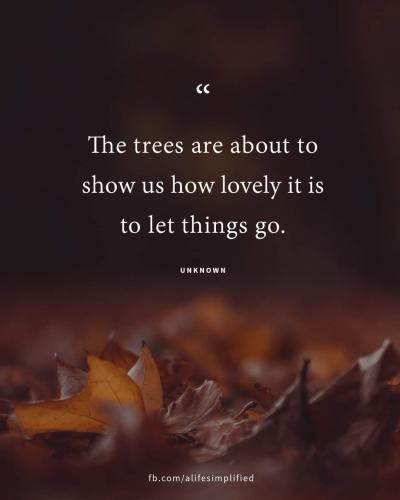 FB_IMG_1663393246439