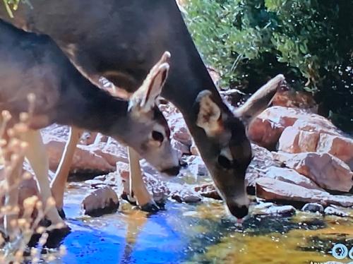 B5FFA3EE-FF09-45CC-AE9B-C41FCAA8A795