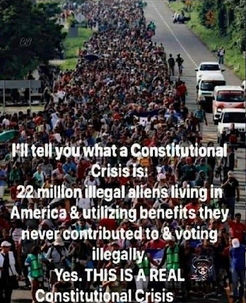 the wall239