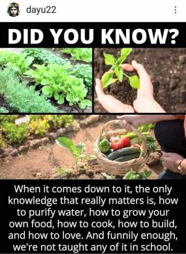 Screenshot_2022-09-05-10-02-18-050_com.instagram.android