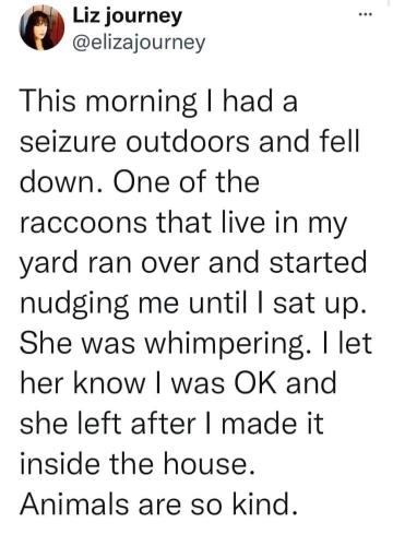 tumblr_1680c8384ef05f0ea56a44cced3c86bb_65ba5331_1280