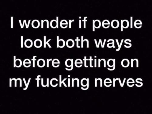 tumblr_8a42bf98564da12ffe2e203f4d9d2b5a_e987d40c_540